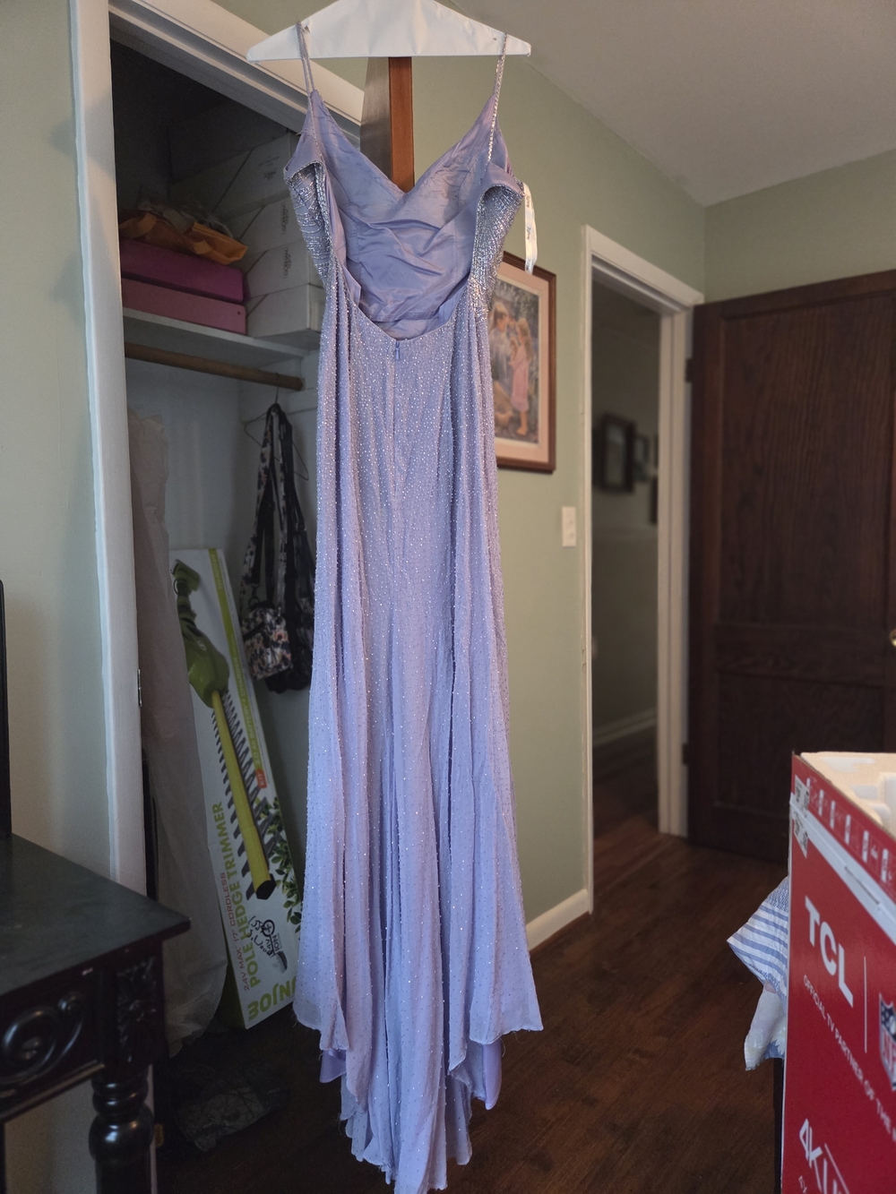 Prom Dress - Picture 3 of 5